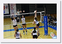 vs Seaman * (132 Slides)